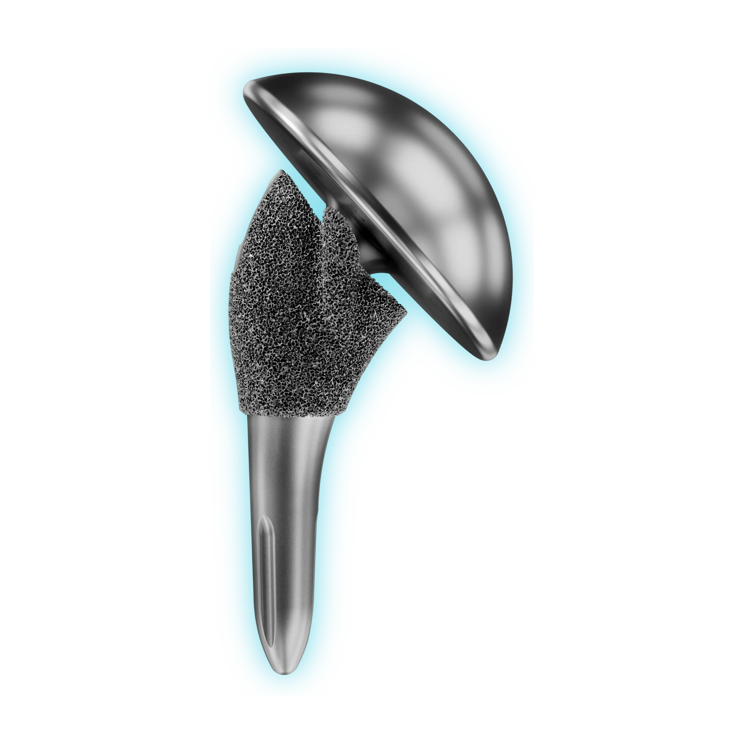 Total Shoulder Arthroplasty InSet™ 70